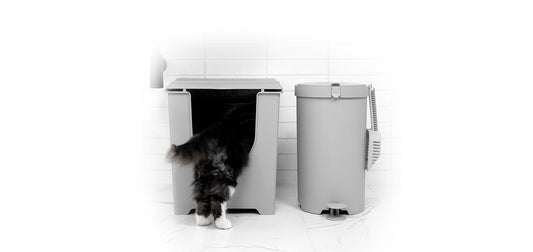 Litter Box Hacks for Busy Cat Parents